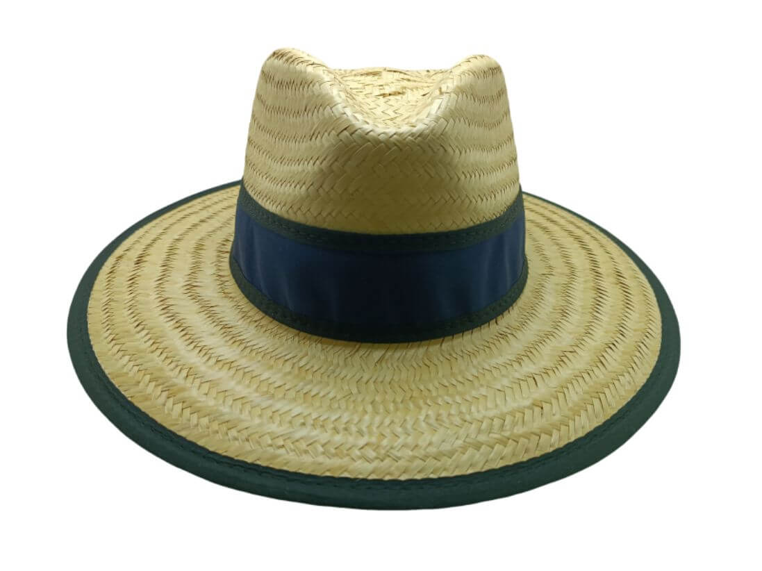 Chapu Palha Panam